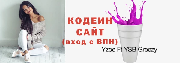 гашик Богородицк