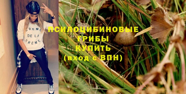 гашик Богородицк