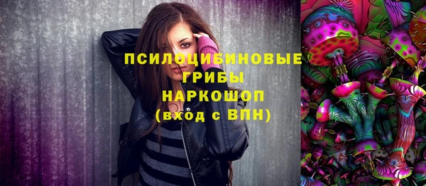гашик Богородицк