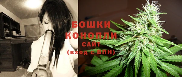 гашик Богородицк