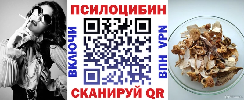 Псилоцибиновые грибы Psilocybe  Купить  Липки 